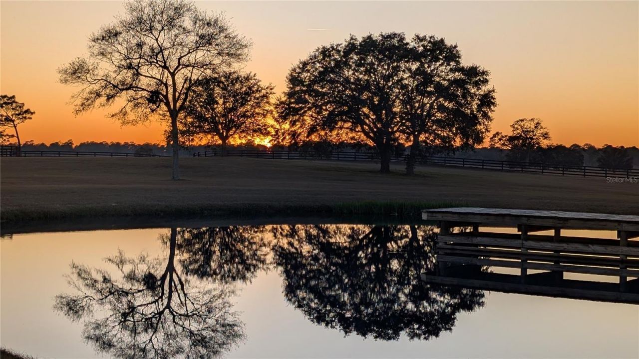 18800 SE 47th Place, Morriston, FL 32668 Photo