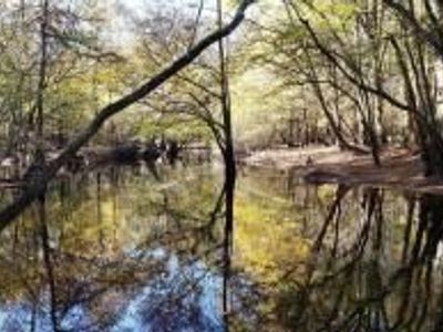 0 Sandy Pines Road, Dorchester, SC 29437