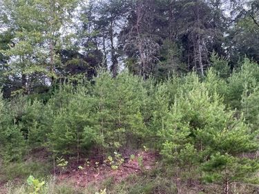 210 Farrow Hill Road, Davisville, WV 26142