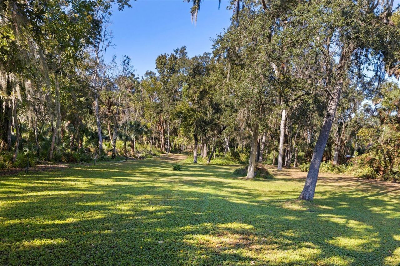 8609 Stoner Road, Riverview, FL 33569 Photo