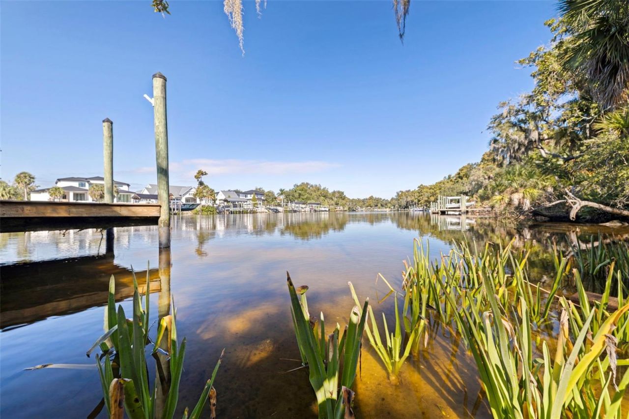 8609 Stoner Road, Riverview, FL 33569 Photo