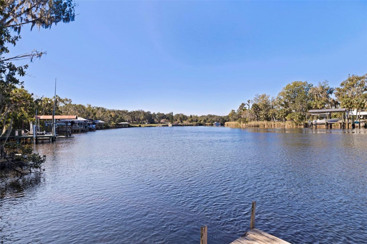 8609 Stoner Road, Riverview, FL 33569 Photo