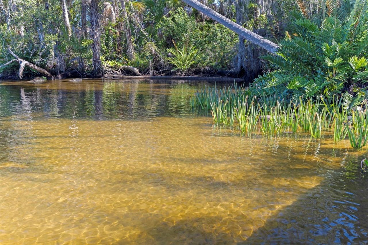 8609 Stoner Road, Riverview, FL 33569 Photo