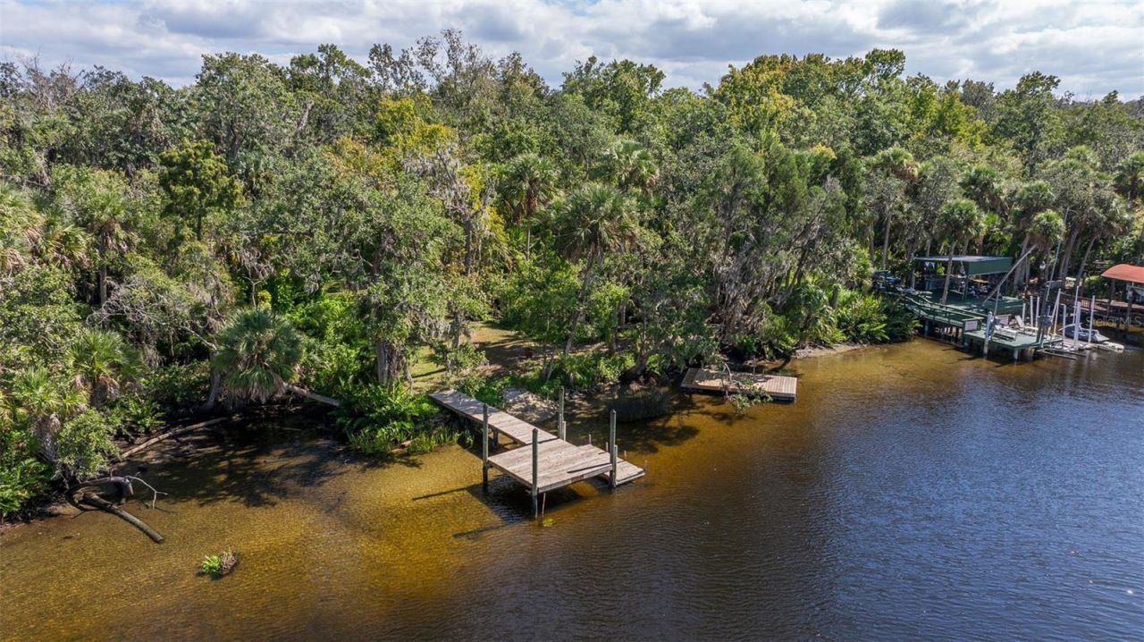 8609 Stoner Road, Riverview, FL 33569 Photo