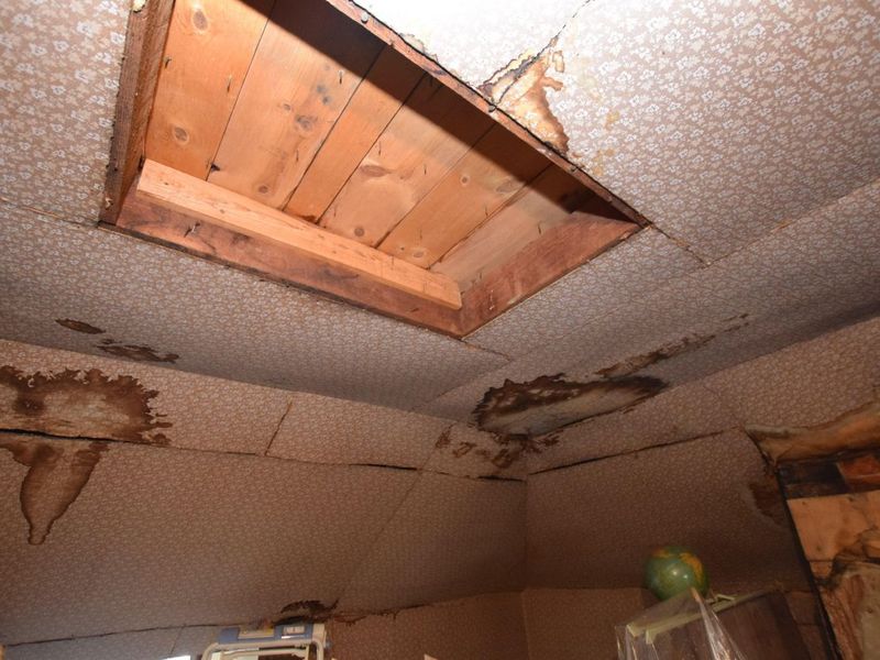 216 W Baird Street, West Liberty, OH 43357 Photo 21