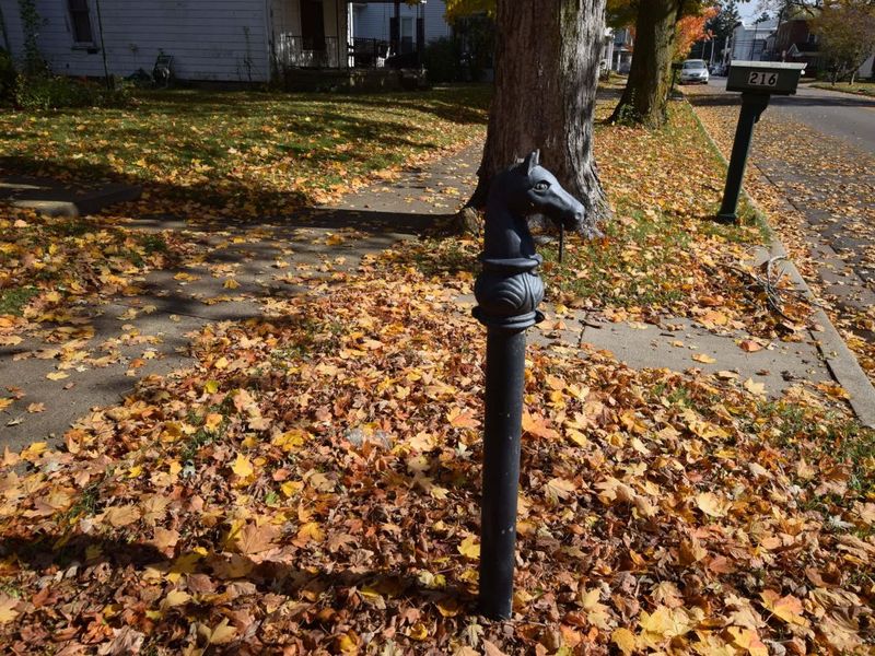 216 W Baird Street, West Liberty, OH 43357 Photo 37