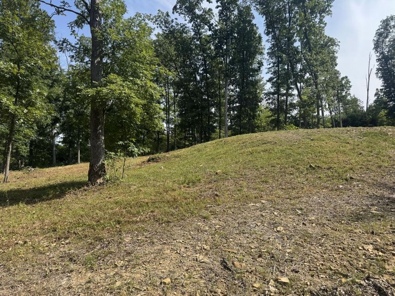 56 Golf Course Road , Unit (Tract 14 , Waverly, OH 45690 Photo 12