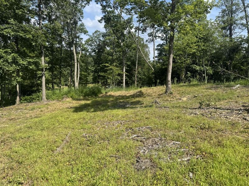 56 Golf Course Road , Unit (Tract 14 , Waverly, OH 45690 Photo 26