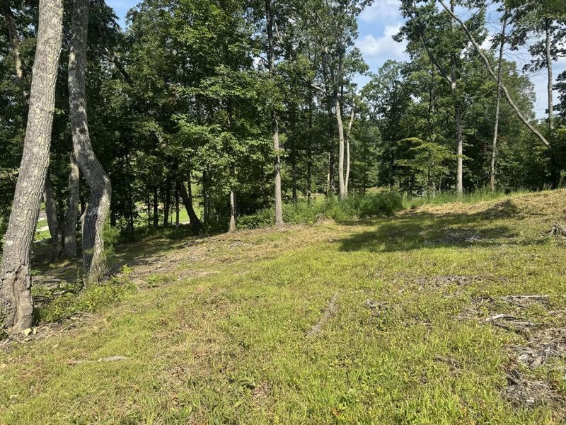 56 Golf Course Road , Unit (Tract 14 , Waverly, OH 45690 Photo 27