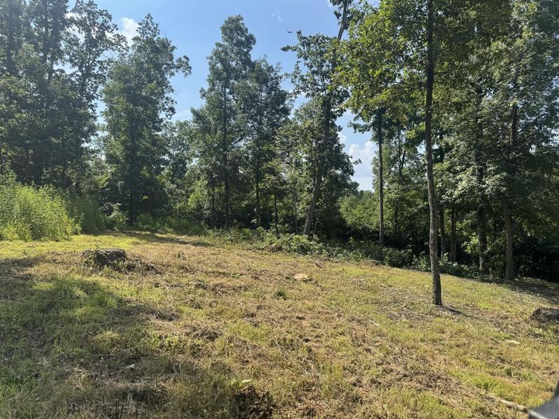 56 Golf Course Road , Unit (Tract 14 , Waverly, OH 45690 Photo 30