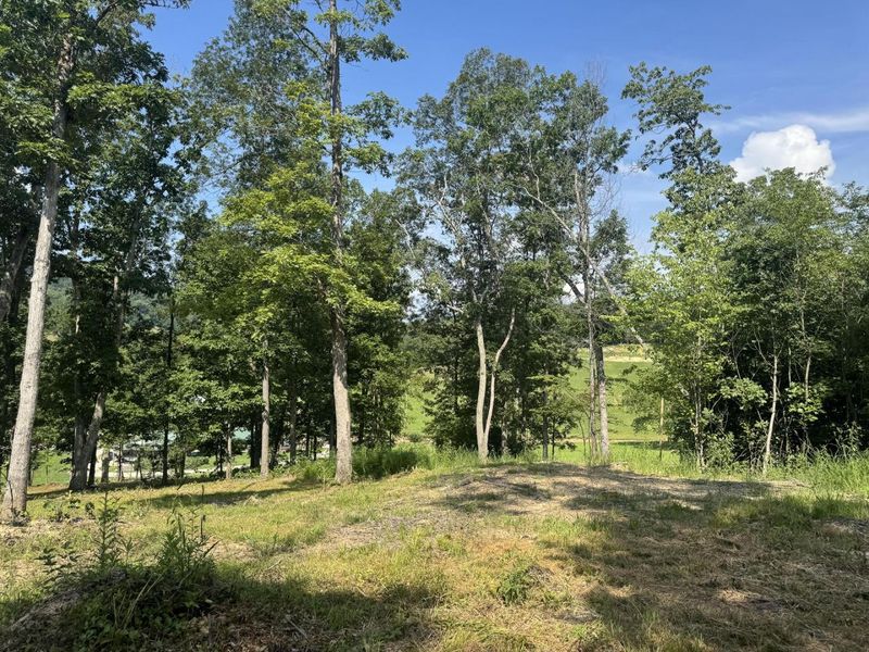 56 Golf Course Road , Unit (Tract 14 , Waverly, OH 45690 Photo 32