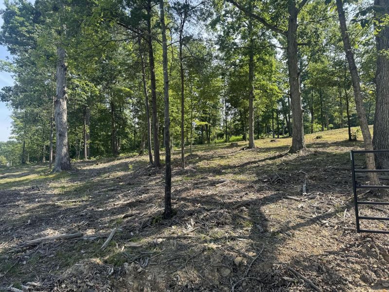 56 Golf Course Road , Unit (Tract 14 , Waverly, OH 45690 Photo 4