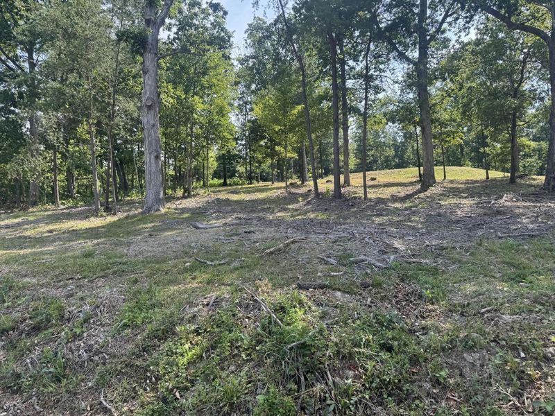 56 Golf Course Road , Unit (Tract 14 , Waverly, OH 45690 Photo 47