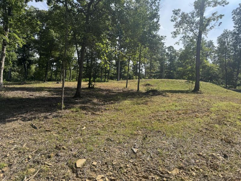 56 Golf Course Road , Unit (Tract 14 , Waverly, OH 45690 Photo 9