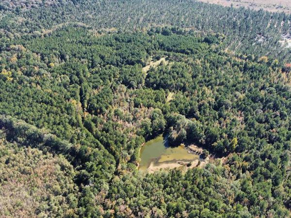 Bradley 52 Road Road, Hermitage, AR 71647