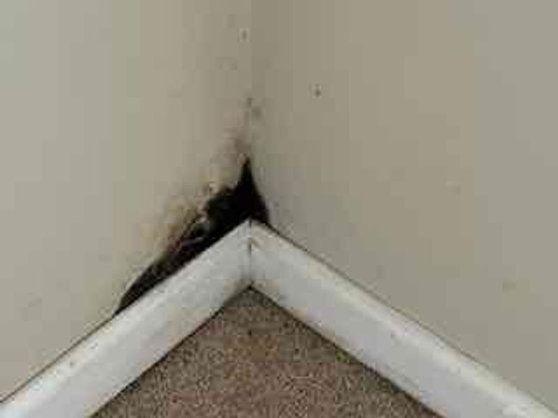 949 Primrose Drive, Dayton, OH 45449 Photo 26