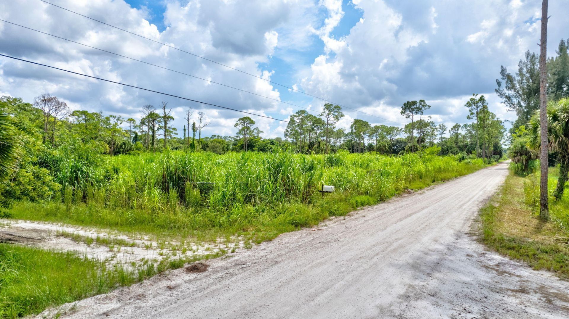 15532 43rd Road N, Loxahatchee Groves, FL 33470 Photo