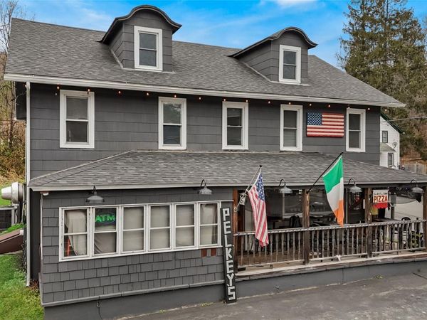 553 County Road 94, Hankins, NY 12741