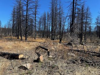 Cardinal Drive Bonanza, OR 97623