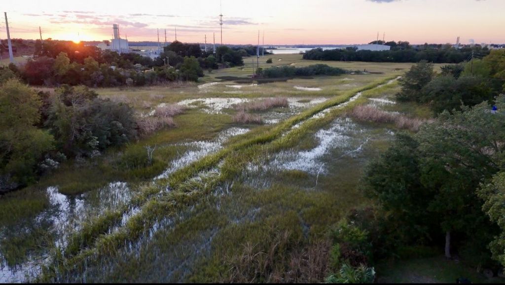 2311 Peonie Avenue Photo 5