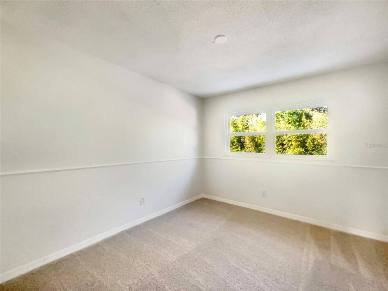 1911 Rambling Lane, Brandon, FL 33510 Photo