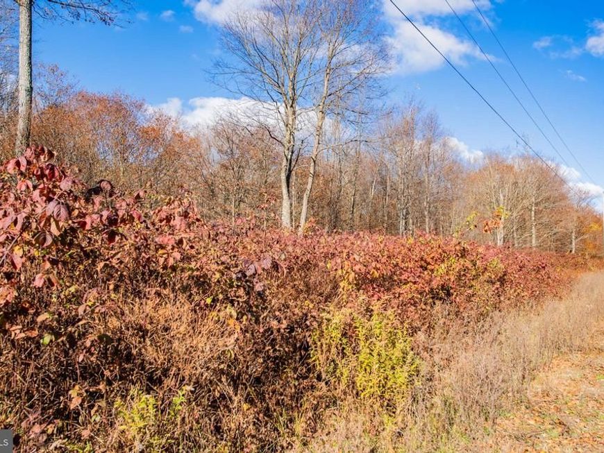 Parcel 030 Glory Ridge Road, Shunk, PA 17768 Main Photo