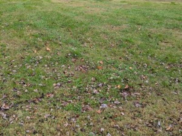 0 VIVIAN STREET, BISHOPVILLE, MD 21813