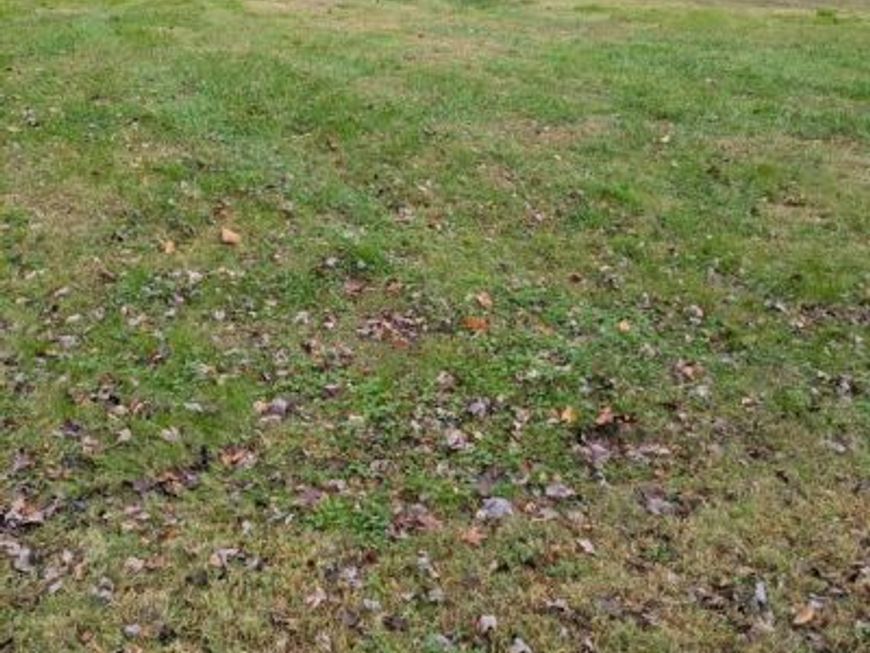 0 Vivian Street, Bishopville, MD 21813 Main Photo