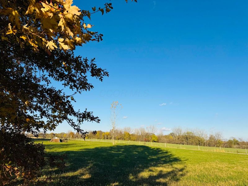 1675 State Route 529, Cardington, OH 43315 Photo 24