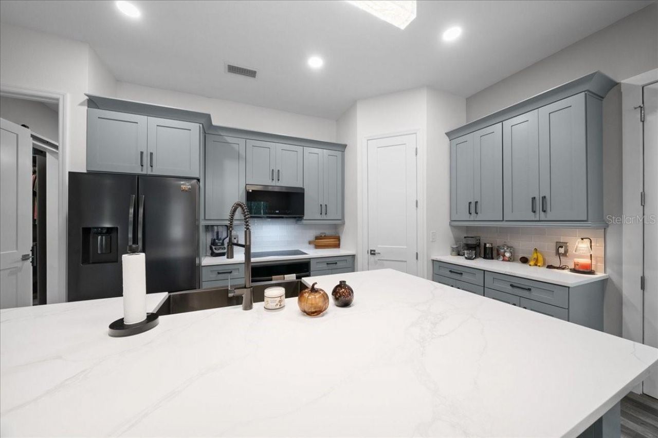 252 Malauka Road, Ocklawaha, FL 32179 Photo