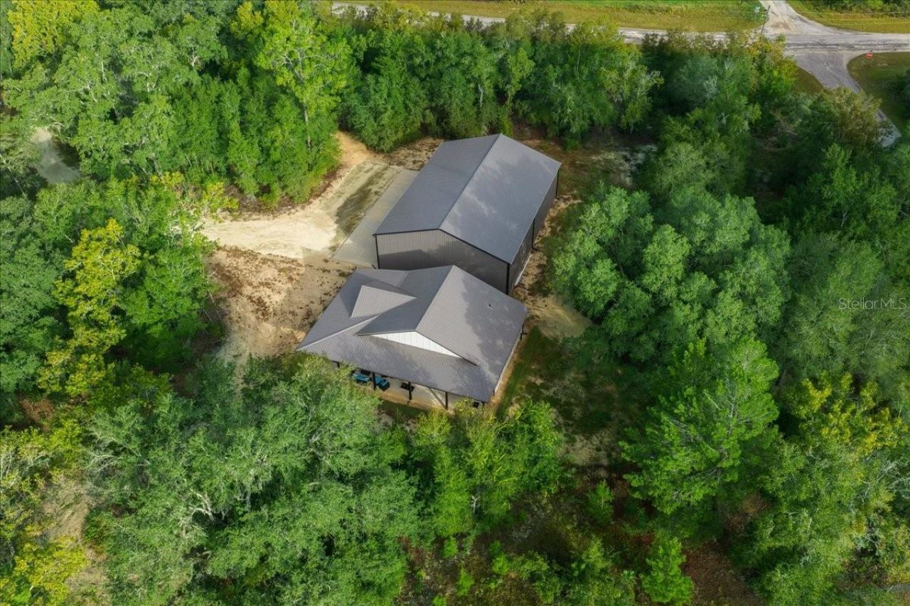 252 Malauka Road, Ocklawaha, FL 32179 Photo