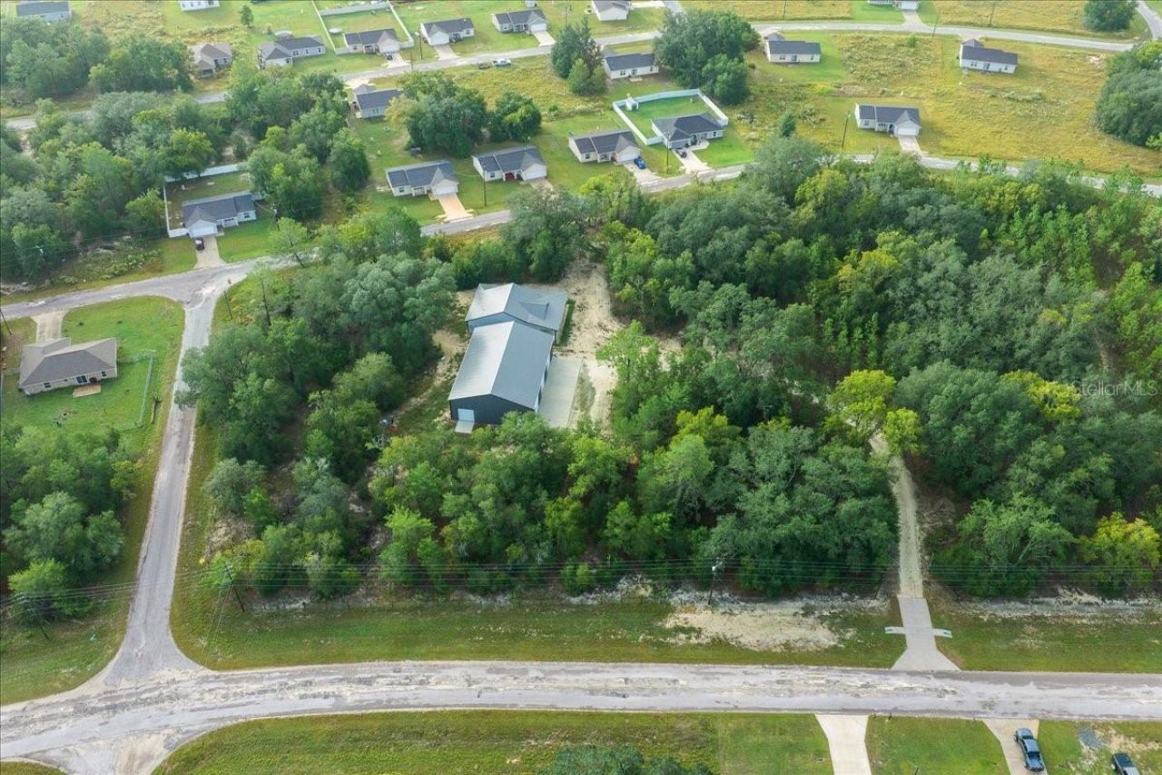 252 Malauka Road, Ocklawaha, FL 32179 Photo