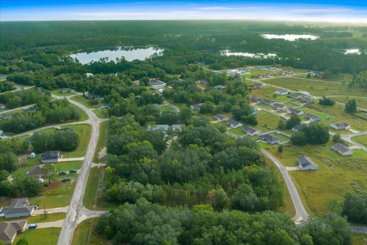 252 Malauka Road, Ocklawaha, FL 32179 Photo