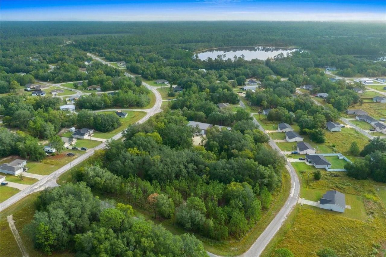 252 Malauka Road, Ocklawaha, FL 32179 Photo