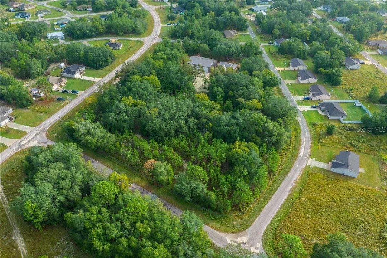 252 Malauka Road, Ocklawaha, FL 32179 Photo