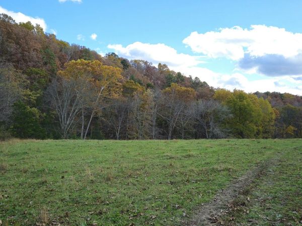 205 County Road 6550, Salem, MO 65560