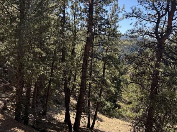 1440 Pikes Peak Drive , Divide, CO 80814