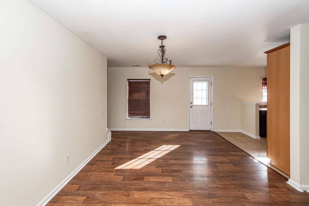 303 Cicadas Song Photo 10