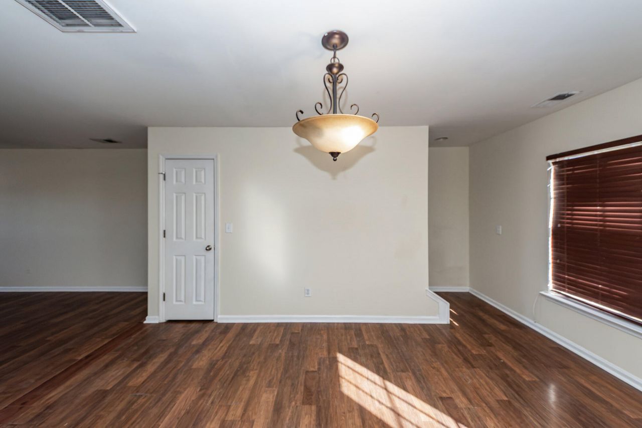 303 Cicadas Song Photo 11