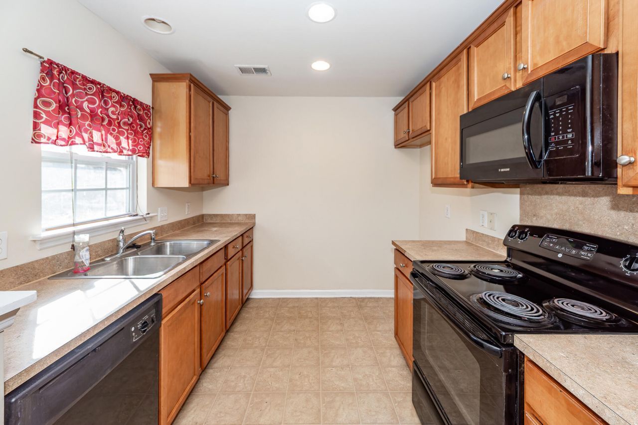 303 Cicadas Song Photo 12