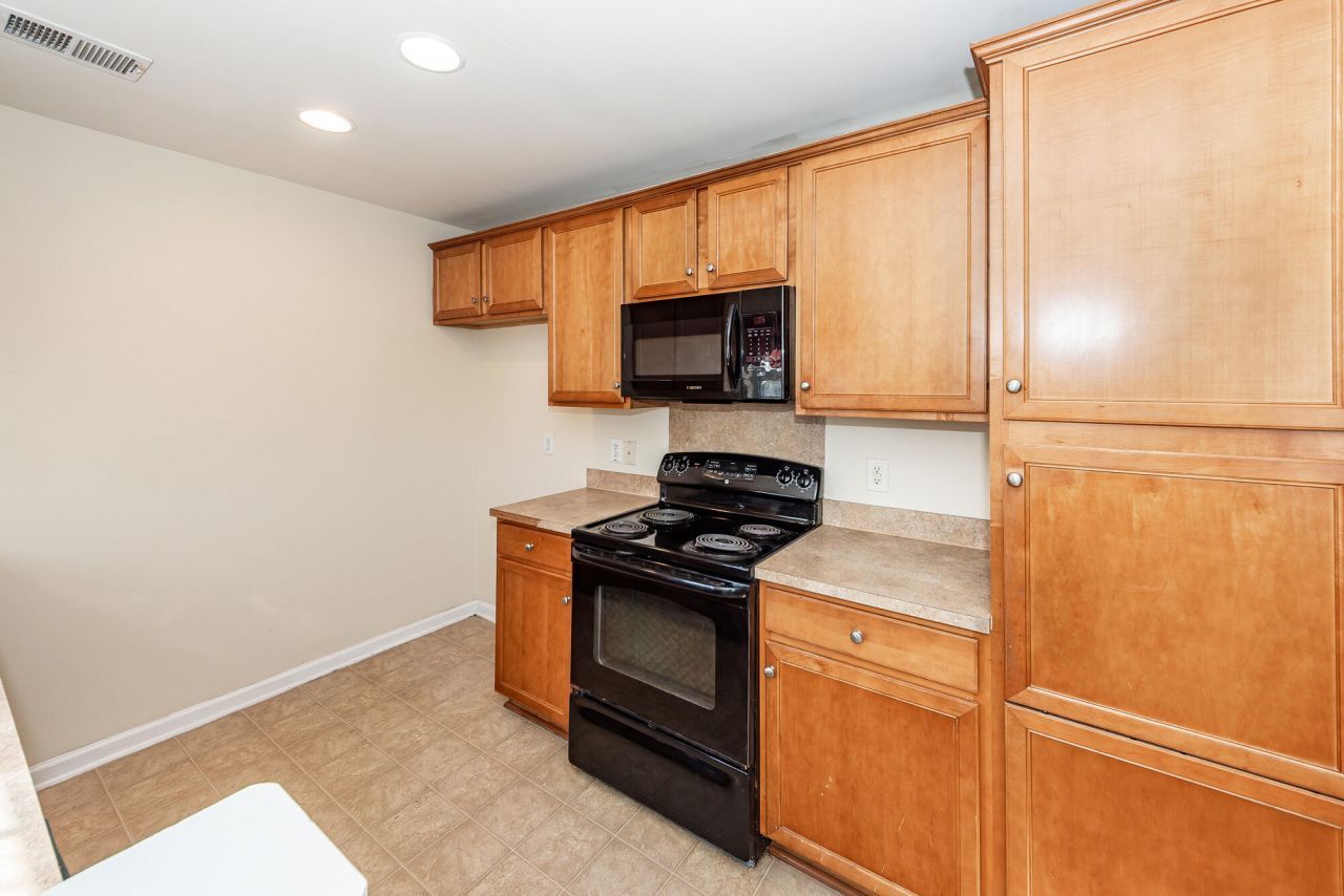 303 Cicadas Song Photo 13