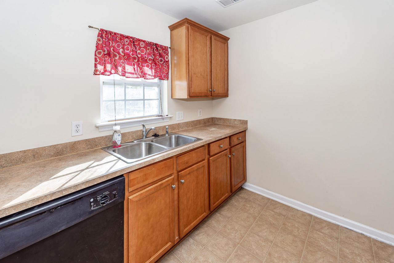 303 Cicadas Song Photo 14