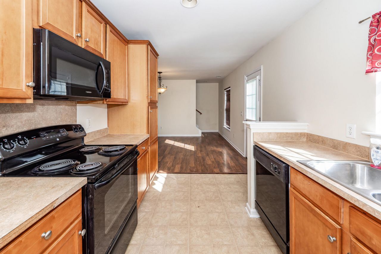 303 Cicadas Song Photo 15