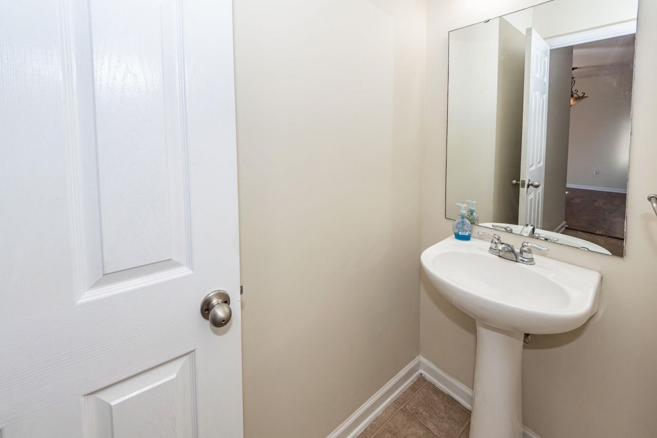 303 Cicadas Song Photo 16