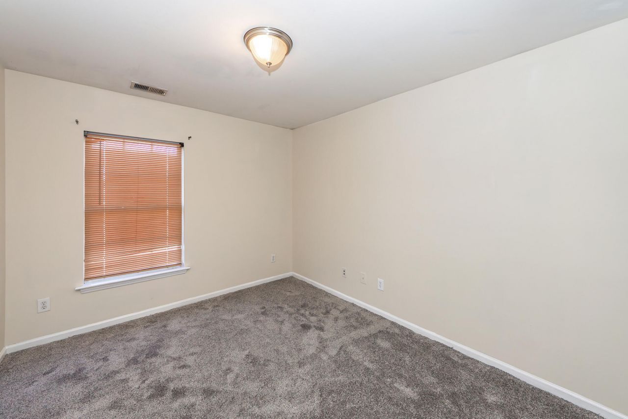 303 Cicadas Song Photo 18