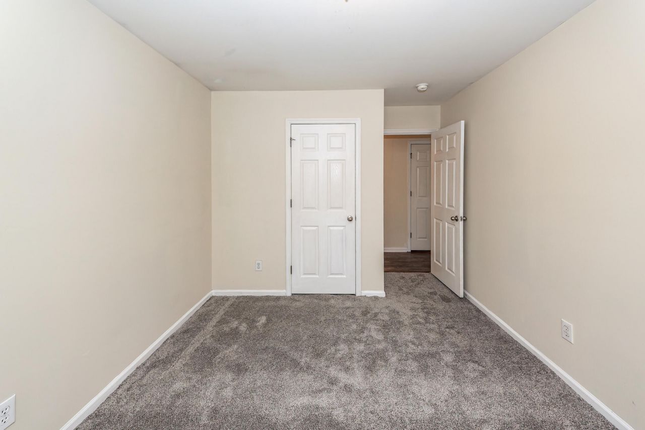 303 Cicadas Song Photo 19