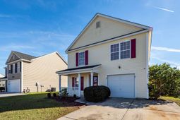 303 Cicadas Song photo 4