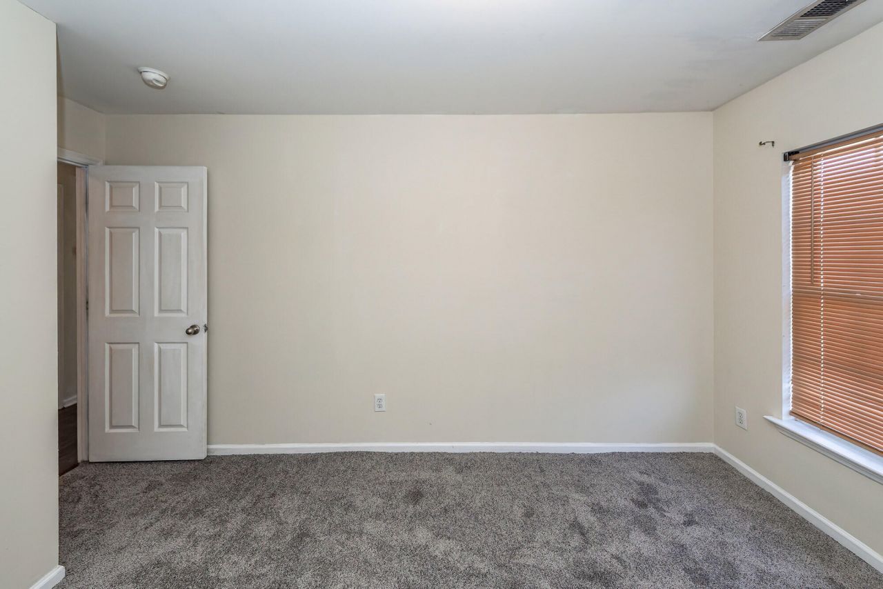 303 Cicadas Song Photo 20