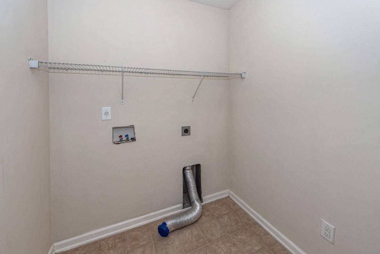 303 Cicadas Song Photo 22