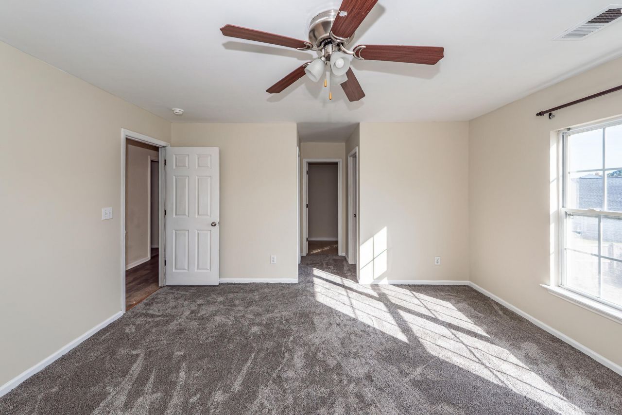 303 Cicadas Song Photo 24